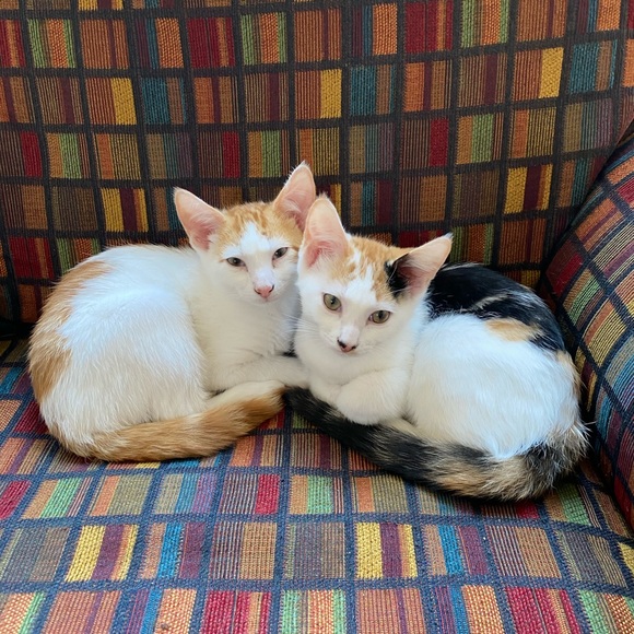 Hi, I’m Rebekah - Picture 9 of 16